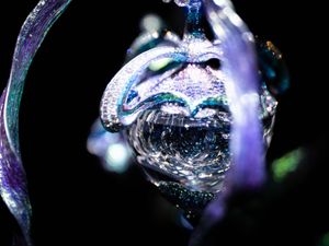 Supporting image for story: Wallace Chan exhibition featuring one of world’s largest black diamonds opens