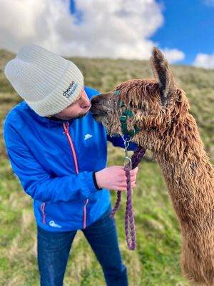 Ben Aitken gets to know alpaca Arnie during his tour of the UK