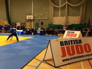 Supporting image for story: New arena could be built in Walsall for Commonwealth Games judo