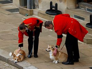 Supporting image for story: Queen’s corgis and favourite pony play poignant role in Windsor farewell
