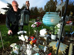 Supporting image for story: Heartbreak over latest theft from a Wolverhampton children's cemetery