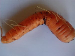 Supporting image for story: Peter Rhodes on political turns, melting glaciers and our Just William prime minister