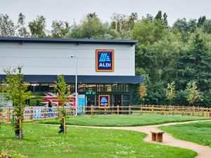 Supporting image for story: Aldi plans record £800m store investment after sales and profits jump