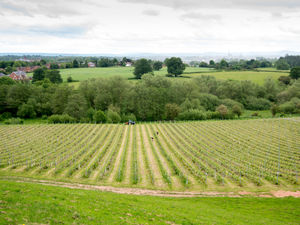Supporting image for story: Shrewsbury networking group meets for first time in two years