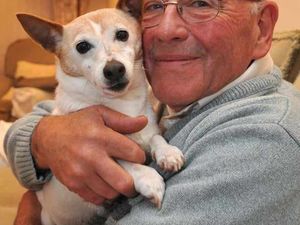Supporting image for story: Beloved stolen dog returned
