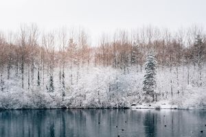 Supporting image for story