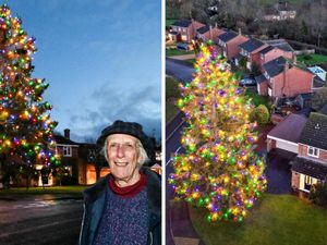 Supporting image for story: 'I planted a Christmas tree in my West Midlands garden in 1979 - it’s now 50ft tall and I decorate it in memory of my husband'