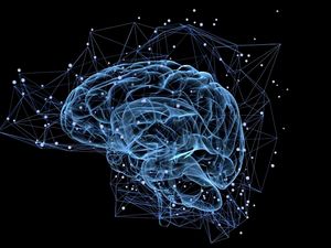 Supporting image for story: Your intelligence might depend on how flexible your brain is, scientists say