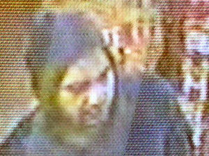 Supporting image for story: Caught on CCTV: Man sought by police after ripping £2k necklace from woman's neck and fleeing in stolen car