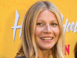 Supporting image for story: Peter Rhodes on a froggy film star, a forgotten tragedy of the Great War and our reaction to climate change - carry on cruising