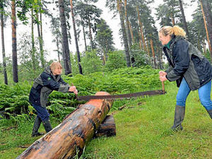 Supporting image for story: How the lumberjills helped in war effort