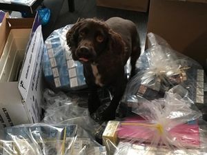 Supporting image for story: Sniffer dogs uncover fake cigarettes and illicit tobacco worth £163,700 in Walsall