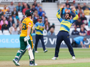 Supporting image for story: Hassan Ali returning to 'second home' after Bears deal 