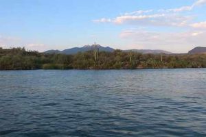 Supporting image for story: Arizona - home of American boating. Sort of.