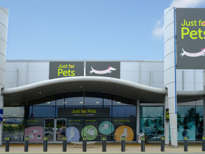 Supporting image for story: Just for Pets bucks the retail trend

