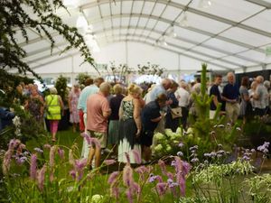 Supporting image for story: Early bird tickets selling fast for Shrewsbury Flower Show