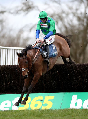 Truckers Lodge ridden by jockey Lorcan Williams on the way to winning the Marston's 61 Deep Midlands Grand National at Uttoxeter Racecourse (Tim Goode/PA Wire)