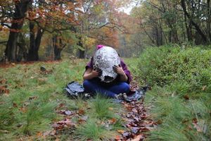 Rebecca Stewart's work at Shoal Hill Common