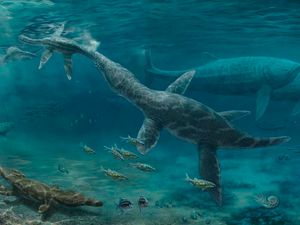 Supporting image for story: Study of fossil teeth sheds light on Jurassic marine reptiles