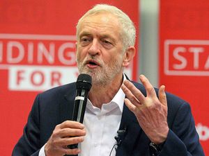 Supporting image for story: Peter Rhodes: Swimming with the frogs