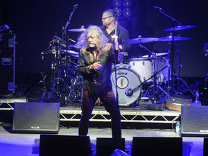 Supporting image for story: Cannock Chase Forest Live: A look at the acts which have played - including Robert Plant, Blondie and Paul Weller