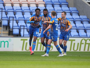 Supporting image for story: Shrewsbury 1 Hull City 1 - Report 