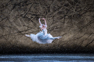 The Snow Fairy leapt onto the stage of the Birmingham Hippodrome
