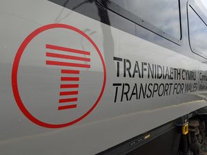 Supporting image for story: Fallen tree causing disruption to many border rail routes