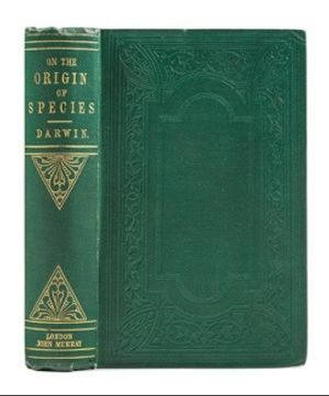 The first edition