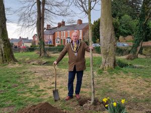 Supporting image for story: Mayor Of Oswestry plants a tree for The Jubilee