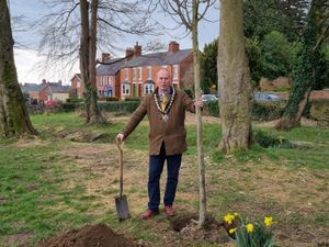 Supporting image for story: Mayor Of Oswestry plants a tree for The Jubilee