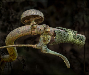 Winner: Phil Green - Get a Grip