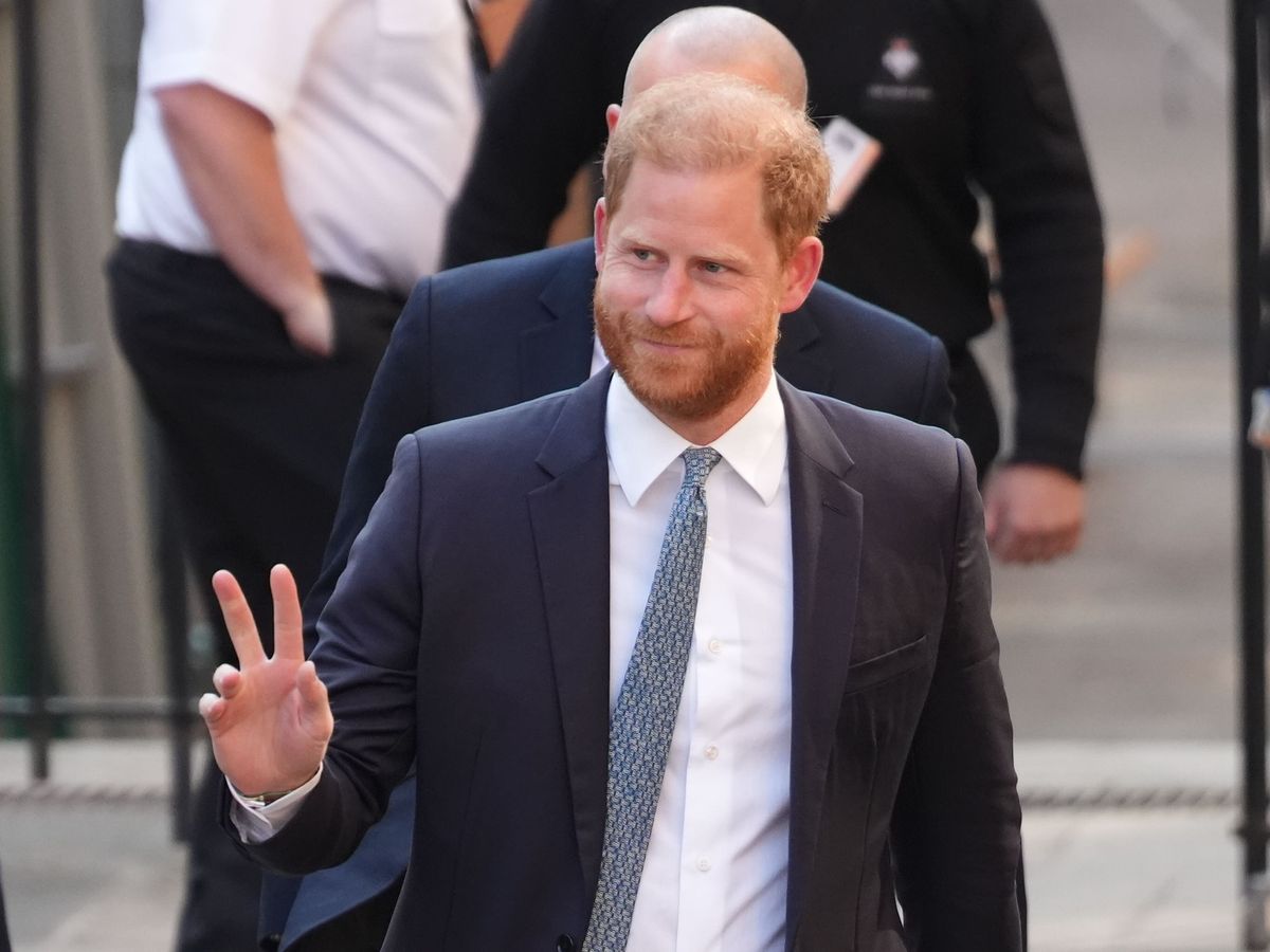Harry ‘singled out’ for ‘inferior’ treatment, appeal over UK security told
