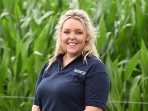 Supporting image for story: Making a mark in the dairy world: Holstein Young Breeders