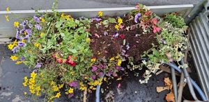 Photo: Market Drayton Town Council