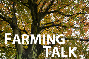 Supporting image for story: How the law might affect The Archers' abuse victim