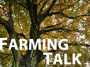 Supporting image for story: How the law might affect The Archers' abuse victim