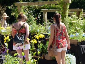 Supporting image for story: Plant hunters’ paradise at the Dorothy Clive Garden this bank holiday