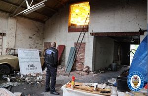 More than 300 cannabis plants and a large quantity of cannabis buds were found inside the building.