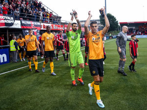 Supporting image for story: Wolves comment: From Belfast to Athens, the dream is still alive