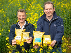 Supporting image for story: Crisp producer lines up partnership with retailer