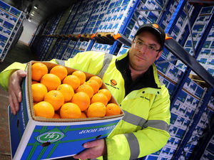 Supporting image for story: £52m Shropshire fruit firm is ripe for expansion
