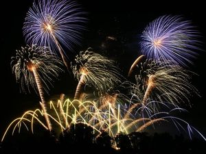 Supporting image for story: Bonfire Night: Events in Shropshire and how to get tickets for firework displays