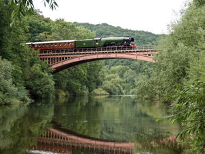 Supporting image for story: Reader picture: Flying Scotsman at Arley