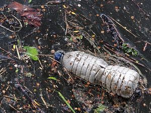Supporting image for story: Wem residents in Autumn Clean
