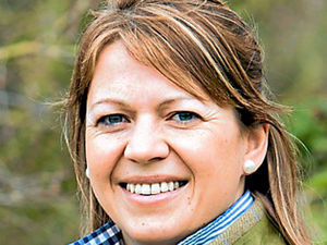 Supporting image for story: Streamlined scheme a welcome New Year's gift for farmers