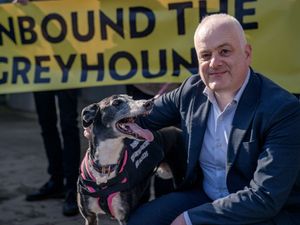 Supporting image for story: MSPs vote on greyhound racing ban a day after Senedd approves move