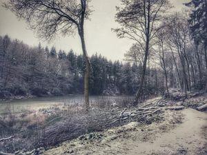 Supporting image for story: Snow forecast across region after England's coldest night of the year