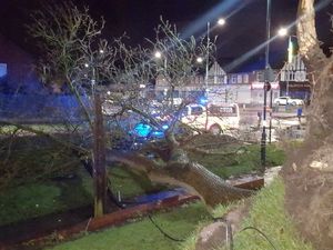 Supporting image for story: Storm Eleanor hits West Midlands: 300 homes without power, trees uprooted and blocked roads during disruption