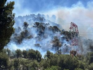 Supporting image for story: Flights suspended and stay-at-home orders issued after wildfire erupts in France